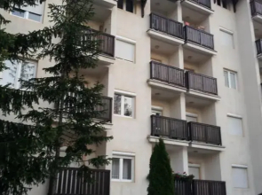 Apartment Simic