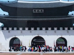 Glamorous 1 Bhk Apartment w Balcony Gym