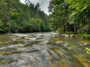 A Tranquil Place- Fightingtown Creek Frontage