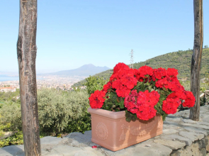 Agriturismo Casa Scola