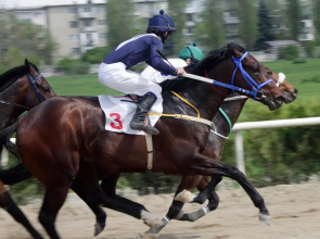 The Lombard House - Sleeps Up To 12