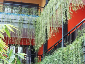 Rena Segara House Kuta