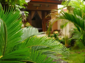 Rumahku Homestay