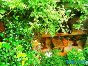 Qifeng Love Letter Hotel (Huangshan Jixian Huizhou Ancient City Branch)