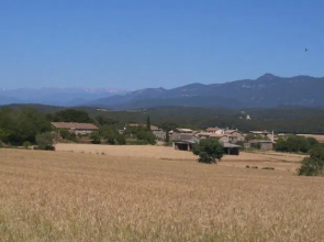 El Paller de Can Ribes