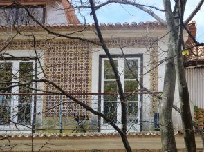 LV Premier Flores FL1