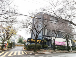 Daegu Dongchon Cacaotel