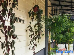 Looe Mansion@Pinjistation (15pax 6br)