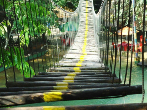 Parque Dos Igarapés