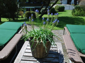 Sonniges Appartement am Tegernsee