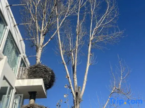 Dali · Lingyulan | DaLi Spring Mountain · Designer's Mountain-View Homestay (Cangshan Branch)