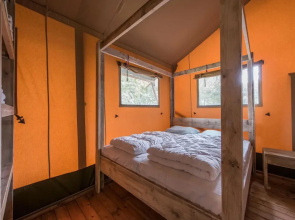 Forest Safari Tent Retreat