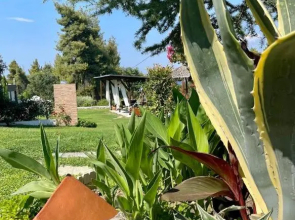 Eden apartment Paliouri with Frontyard private garden