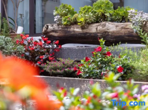 Xigui Meisu Inn (Gucheng Nanmen Branch)