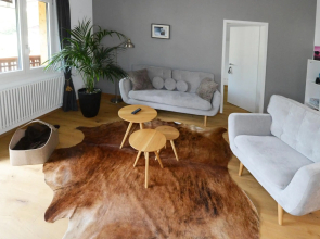 Zer Treichi Appartements