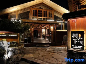 Under the Tree Art Hot Spring Homestay