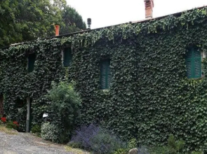 B&B Il Ciliegiolo