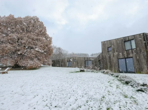 Maison D'hôtes Cerf'titude