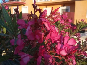 Residence Ionian st&apts