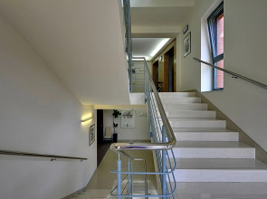 St. Joseph ROYAL REGENT