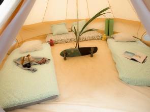 Star Surf Camps