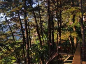 Pijar Resort