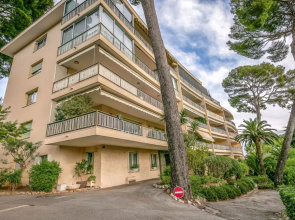 Les Pins DAlep
