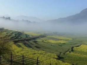 The Little House in the Rice Fields