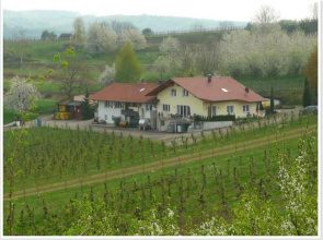 Weingut Ringwald