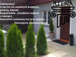 Atena