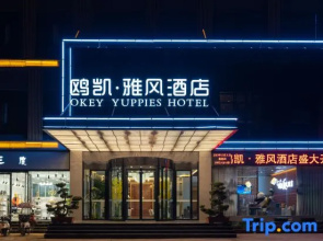 Nanyang Okey Elegant Style Hotel (Wanda Jianye Triumph Square Dushan Avenue Branch)