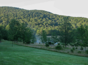 Private Dog-friendly Home: 3 Mi to Elk Mountain