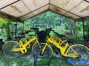 Canopy Villa Tampik Valley