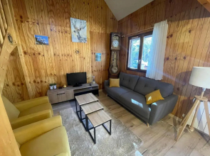 Chalet Barcelonnette, 4 pièces, 8 personnes - FR-1-165A-121