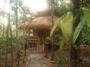 Wayanad Coffee Mist Resort