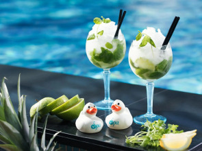 Спа- и конференц-отель V