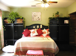 Dogs Are Welcome Studio Suite