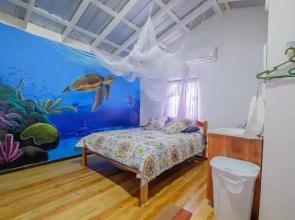 Mr. Ed's Adventures Belize