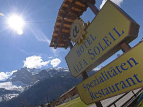 Toni's Alpine Loft