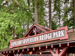 Lovely Oasis near Waterfront & Downtown