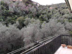 Olivo apartment with sea view