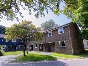 University Campus Park Wood 33981