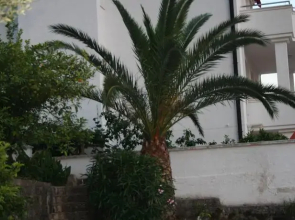 City Beach Hostel