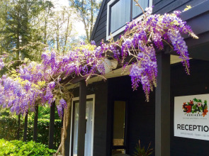 Stay Kerikeri Boutique Apartments and Studios