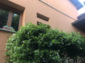 Lake Como Leisure