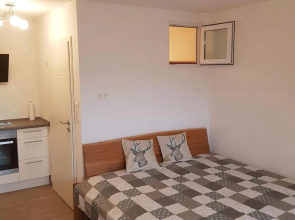 Berghof Appartement Top 22
