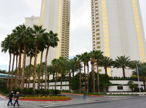 Aaa 1 Bedroom Suite At The Signature Condo Hotel