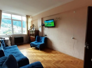 Borjomi,Rustaveli Street 107, 7 Floor