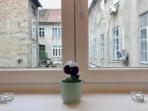 Studio apartment in center of Zagreb "Vidra"