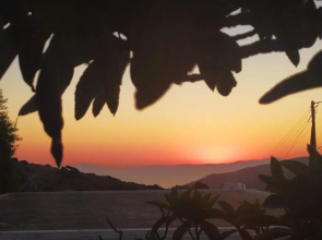 Almond trees house